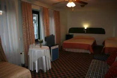 Airport Inn Hotel Стамбул Турция